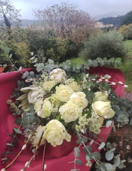 rose bianco a steli