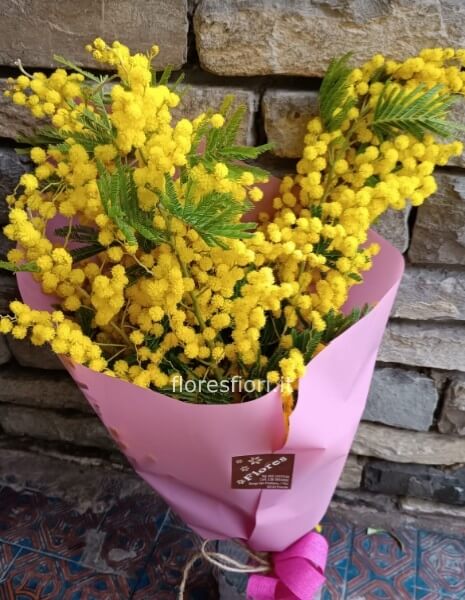 Bouquet mimosa