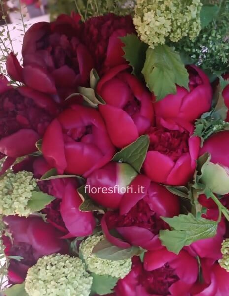 Bouquet PEONIE bordeau